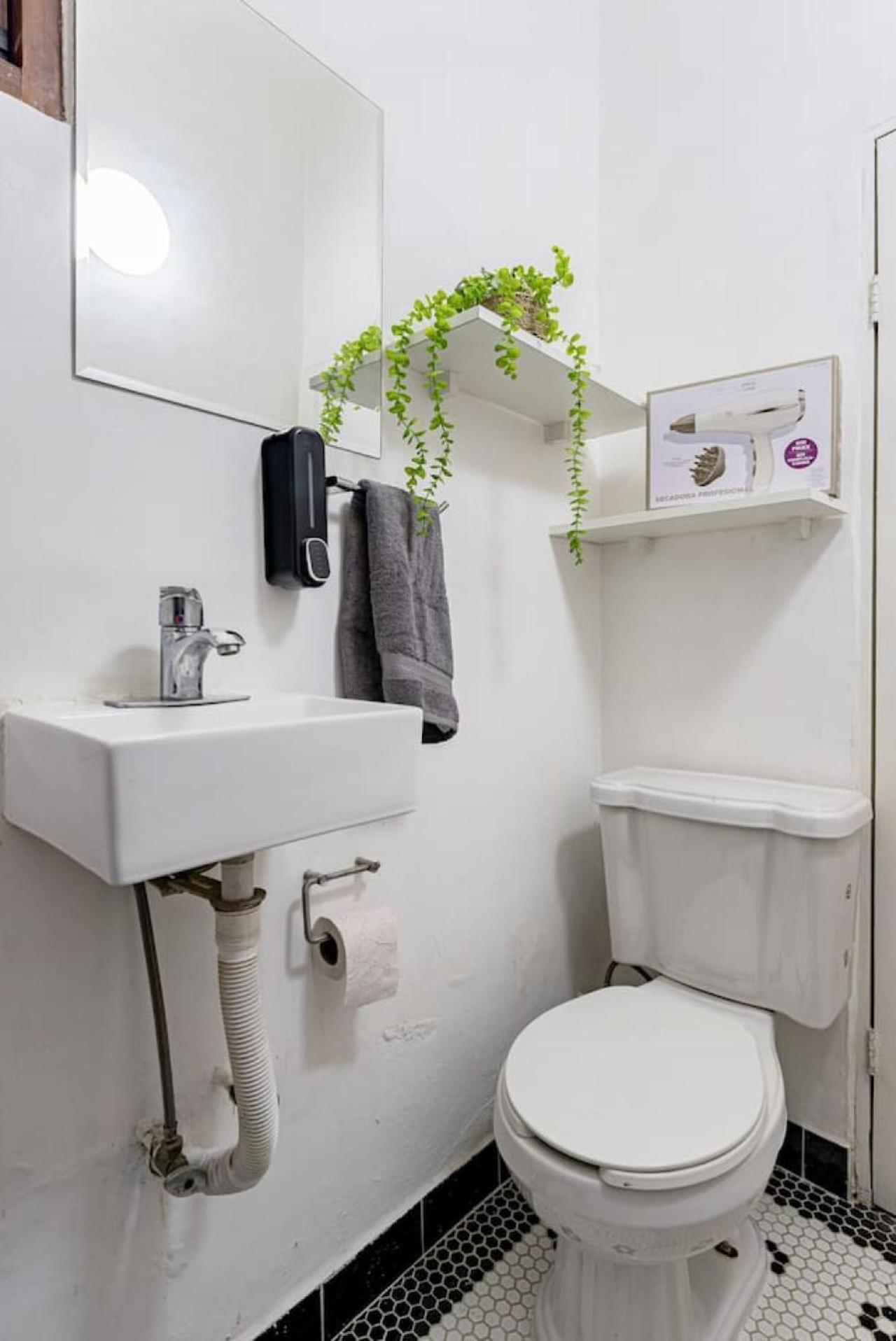 Spacious House With A Beautiful Garden Hébergement de vacances